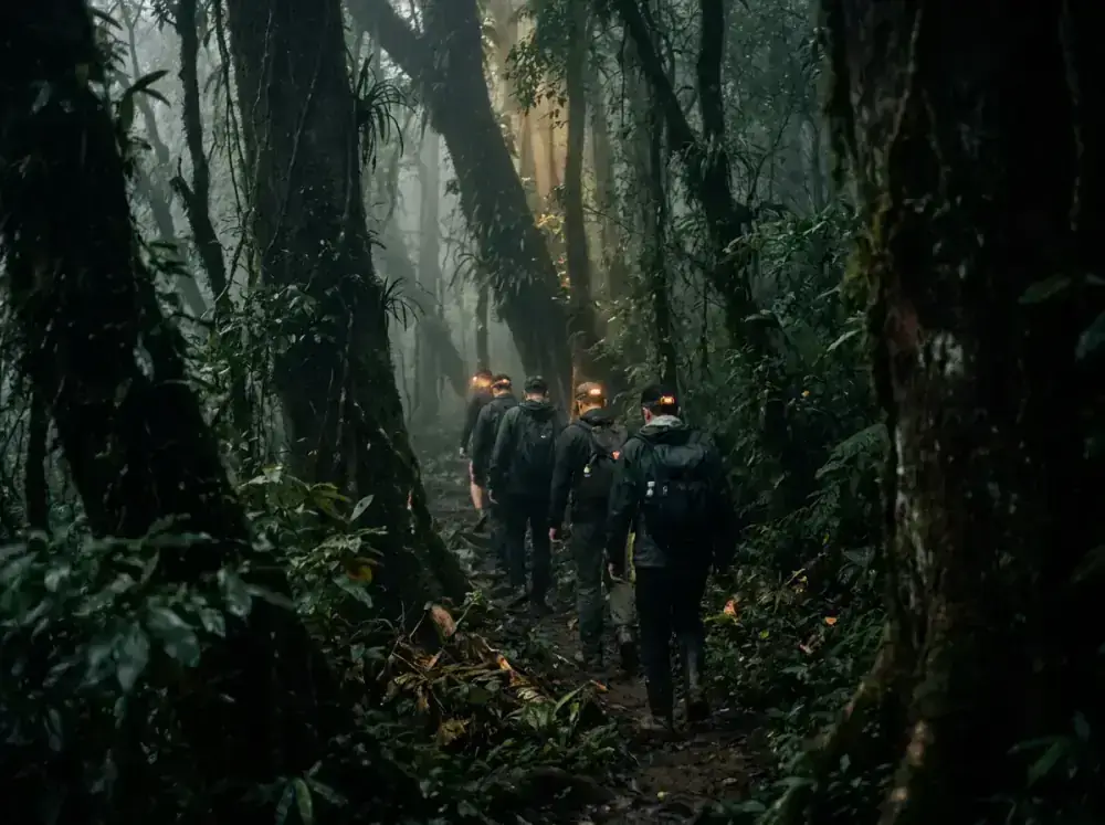 Trek.